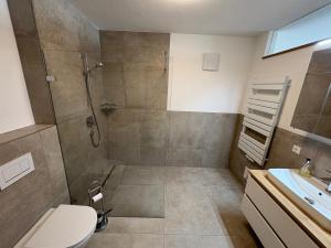 a bathroom with a shower and a toilet and a sink at Moderne Ferienwohnung Bodensee in Sigmarszell