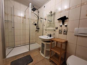 a bathroom with a shower and a sink and a toilet at Ferienwohnung Kleine Bergluft Hahnenklee in Hahnenklee-Bockswiese +14 photos