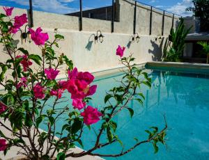 a plant with pink flowers next to a swimming pool at Hotel Casa Vivaldi in Mérida