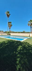 a swimming pool with two palm trees in the background at Villa Dany with pool in Villa Castelli