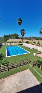 a swimming pool with a bench and palm trees at Villa Dany with pool in Villa Castelli