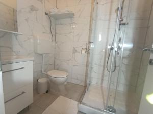 a white bathroom with a shower and a toilet at Palace Pernarius in Cavtat +49 photos