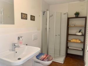 a bathroom with a sink and a shower and a toilet at Haevn-Erholung, Fewo Südsonne in Reußenköge +18 photos