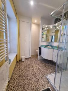 a bathroom with a shower and a sink and a toilet at Cour Du Weinhof à Colmar in Colmar