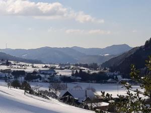 a town covered in snow with mountains in the background at Ferienwohnung Ritter in Oberharmersbach +8 photos