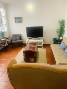 a living room with a couch and a flat screen tv at Casa Jubileu in Golegã