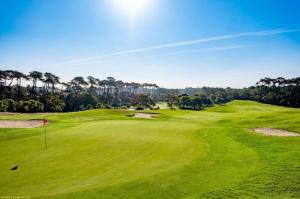 an overhead view of a green golf course at Appartement Autza 6 voyageurs proche des plages in Moliets-et-Maa