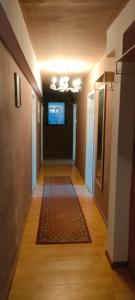 an empty hallway with a rug on the floor at Käfer D in Waldbrunn