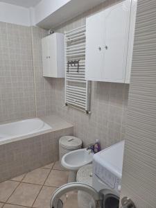 a small bathroom with a sink and a toilet at Vila Siana in Mamaia +24 photos