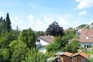 a village with houses and trees on a hill at Ferienwohnung Sonnenblick in Albstadt
