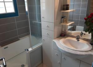 a bathroom with a sink and a shower at Gîte de Lonzanges in Lanobre +22 photos