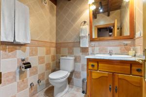 a bathroom with a toilet and a sink and a mirror at Orandi in Cangas de Onís +13 photos