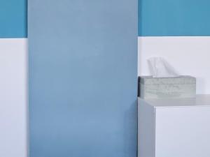 a blue and white wall with a box of tissues at Hey! Central Apartment in Gheorgheni