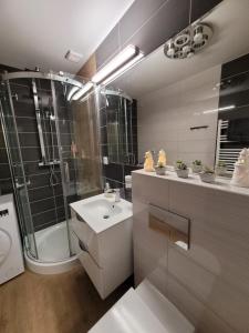 a bathroom with a toilet and a sink and a shower at Apartament Arbuzowy Zachód Słońca in Pobierowo +47 photos