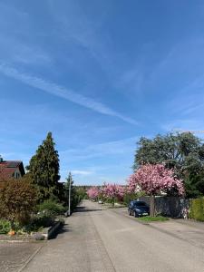 eine Straße mit blühenden Bäumen und ein am Straßenrand geparktes Auto in der Unterkunft Seewest in Singen
