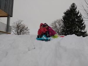 Ferienbauernhof Liebschick during the winter