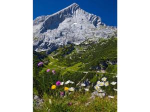 a mountain with flowers in front of it at Chalet Falkenstein in Garmisch-Partenkirchen