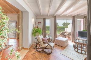 a living room with a chair and a television at Casa Alecrim - Selão da Eira in Pedreneiras