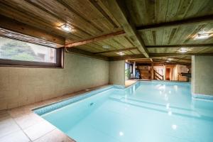 an empty swimming pool in a house with a window at La Flèche d'Or in Châtel
