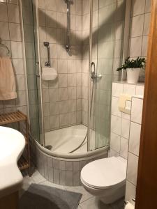 a bathroom with a shower and a toilet and a sink at Moderne Vollmöblierte Wohnung in Zwickau