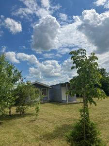 a house in the middle of a yard with a tree at Les Chalets de Babeth et Cathy in Trouan-le-Grand