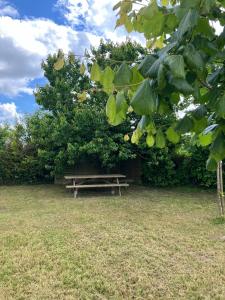 a wooden bench sitting under a tree in a field at Les Chalets de Babeth et Cathy in Trouan-le-Grand +4 photos