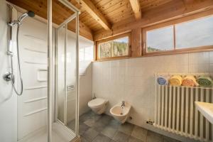 a bathroom with a shower and a toilet and a sink at Thalhof Kornigl in Ultimo +10 photos