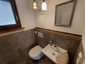 a bathroom with a sink and a toilet and a mirror at Ferienwohnung Am Eselsburger Tal in Herbrechtingen