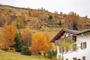 a house on a hill with autumn trees at La Baita Verde in Motta