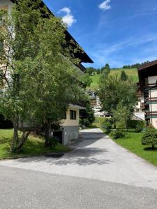 a building with a tree next to a road at Somski Saalbach in Saalbach-Hinterglemm