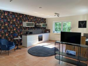ein Wohnzimmer mit Fernseher und Kamin in der Unterkunft Taunusglück in Glashütten