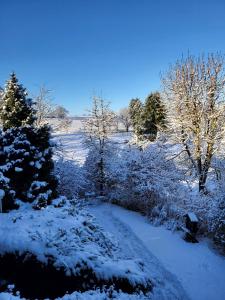 ein schneebedeckter Weg mit Bäumen auf einem Feld in der Unterkunft Taunusglück in Glashütten