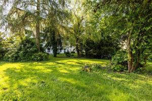 a green yard with trees and green grass at Aparthotel am Stadtpark in Bad Sachsa