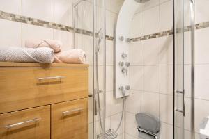 a bathroom with a shower and a toilet at Ferienwohnung am Bodensee in Bregenz +11 photos
