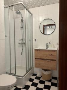 a bathroom with a shower and a toilet and a sink at Köhlerstube Todtmoos in Todtmoos +15 photos