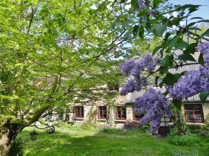 a house with a tree with purple flowers on it at Ferienwohnung Mulleby in Süderhackstedt