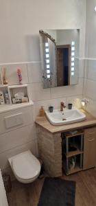 a bathroom with a sink and a toilet and a mirror at Ferienwohnung Wyss - Wolfach in Untertal