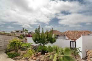 a white house with a tree in the yard at La Tunera in La Cisnera