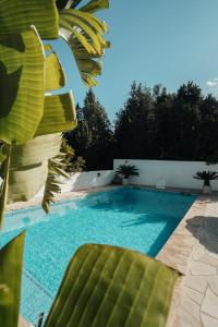 a swimming pool in the backyard of a house at Villa Carol in Illes Balears