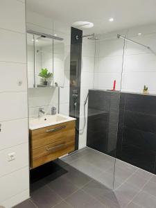 a bathroom with a glass shower and a sink at Ferienwohnung Bauernpfad in Kressbronn am Bodensee