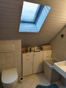 a bathroom with a toilet and a skylight at Ferienhaus Wurzinger in Mureck +29 photos