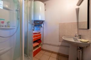 a small bathroom with a sink and a shower at Le Mas Saint Victor in Saint-Victor