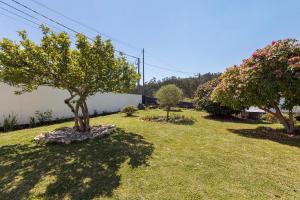 a garden with two trees in a yard at Estúdio entre Porto e Aveiro in Carregosa