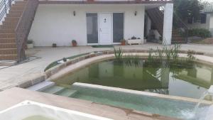 a small pool of water in front of a house at Estúdio entre Porto e Aveiro in Carregosa