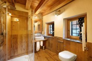 a bathroom with a shower and a toilet and a sink at Chalet 1175 - Grand-haury in Arvier