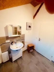 a bathroom with a sink and a mirror at Alter Stall in Melzow
