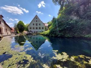 a pool of water in front of a house at Ferienwohnung Am Eselsburger Tal in Herbrechtingen