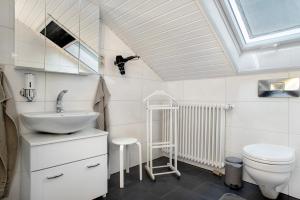 a bathroom with a sink and a toilet and a skylight at Apfelstübchen in Friedrichshafen