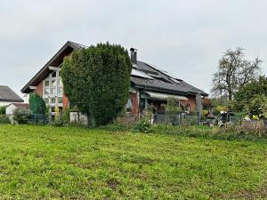 a house with a tree in front of a yard at Apfelstübchen in Friedrichshafen