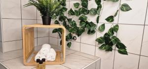 a bathroom with a potted plant and a towel holder at Mb Homes Hechingen in Hechingen